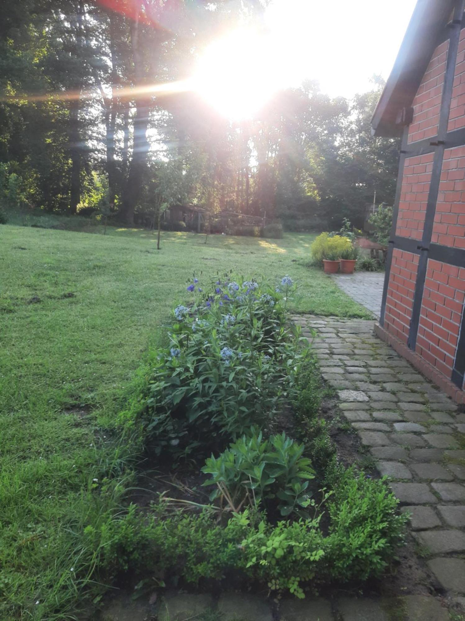 Ferienwohnung Auf Dem Land Ladbergen Exteriér fotografie