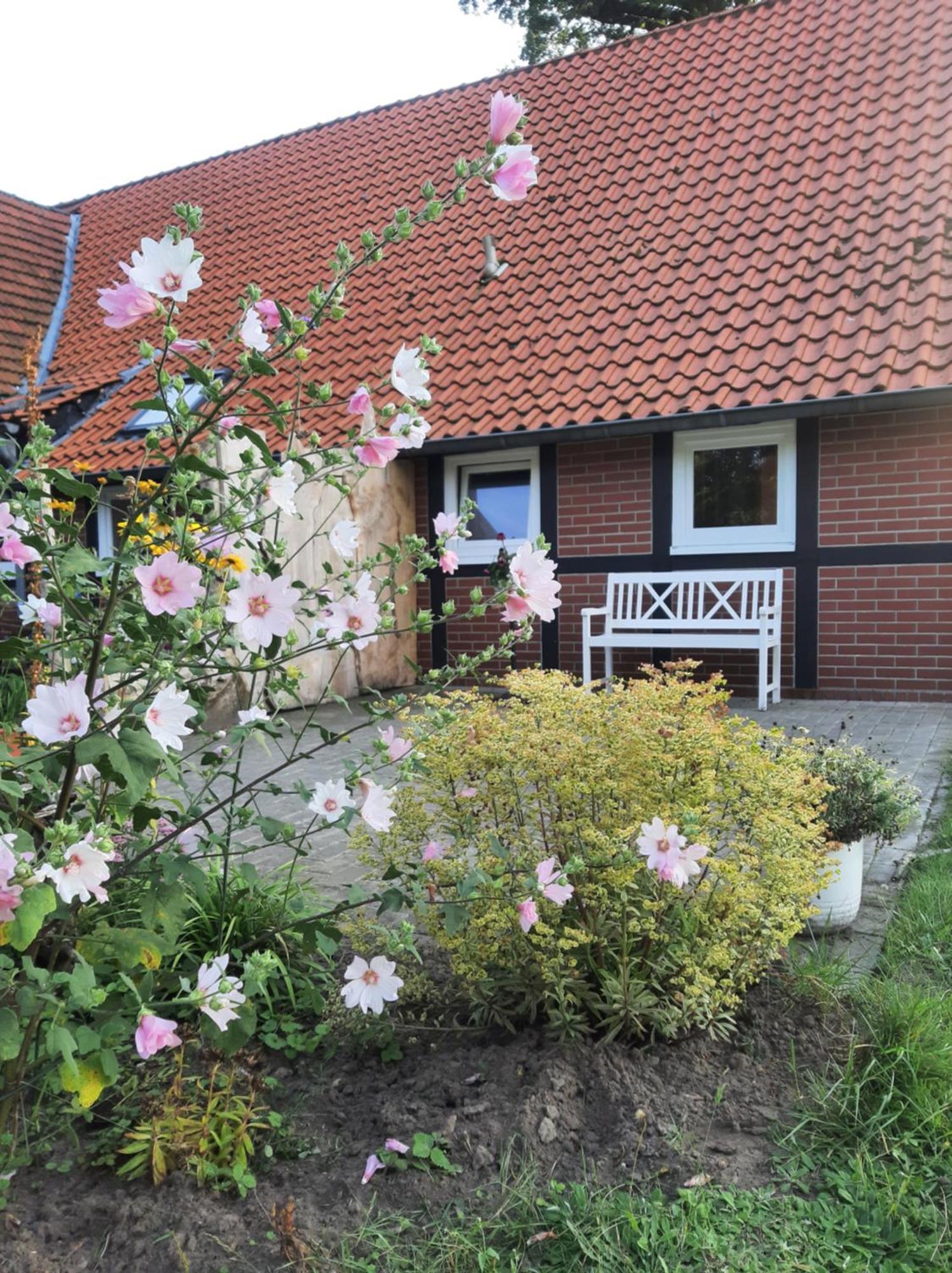 Ferienwohnung Auf Dem Land Ladbergen Exteriér fotografie