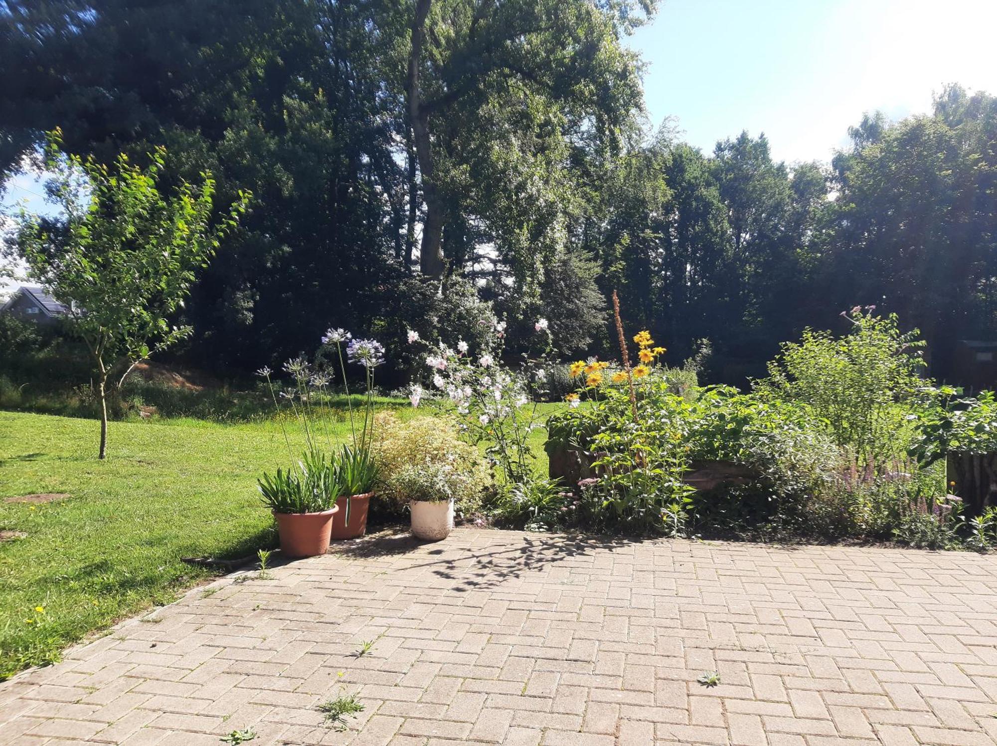 Ferienwohnung Auf Dem Land Ladbergen Exteriér fotografie